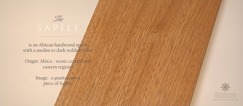 Sapele/Sapelli